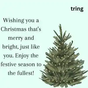 christmas wishes (5).png christmas wishes (5)