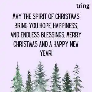 christmas wishes (7).png christmas wishes (7)