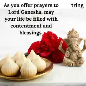 sankashti chaturthi wishes (5)