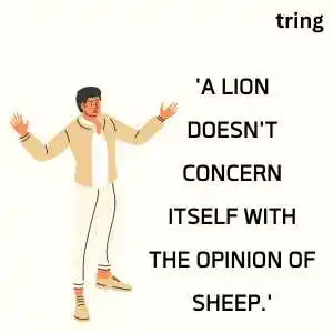 attitude captions for instagram attitude captions for instagram