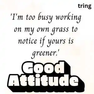 attitude captions for instagram attitude captions for instagram