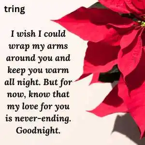 good night wishes (9)