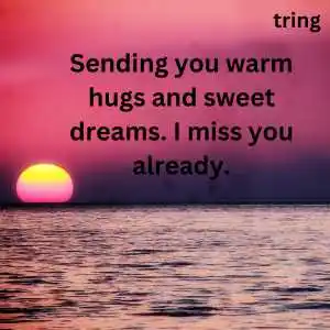 good night wishes (3)