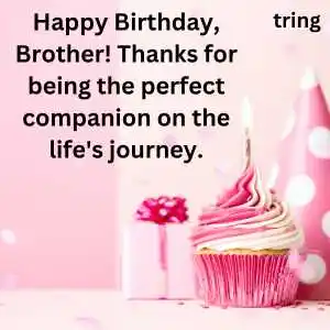 happy birthday wishes for brother (9).png happy birthday wishes for brother (9)