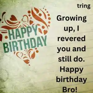 happy birthday wishes for brother (4).png happy birthday wishes for brother (4)