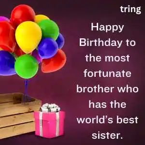 happy birthday wishes for brother (1).png happy birthday wishes for brother (1)