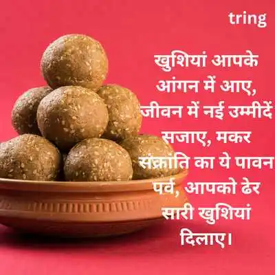 Makar Sankranti Wishes In Hindi Shayari 