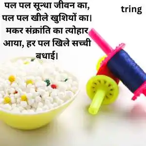 happy makar sankranti wishes in hindi happy makar sankranti wishes in hindi