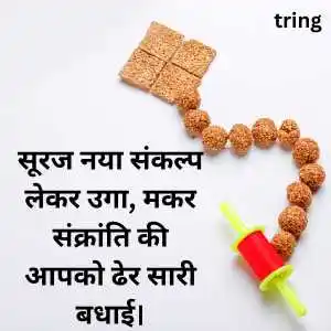 happy makar sankranti wishes in hindi happy makar sankranti wishes in hindi