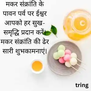 happy makar sankranti wishes in hindi happy makar sankranti wishes in hindi