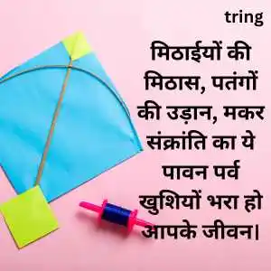 happy makar sankranti wishes in hindi happy makar sankranti wishes in hindi