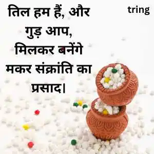 happy makar sankranti wishes in hindi happy makar sankranti wishes in hindi