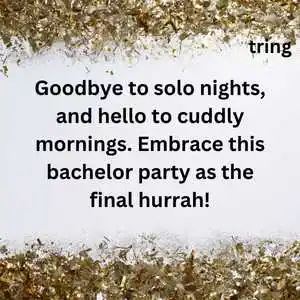 bachelors party wishes (3)