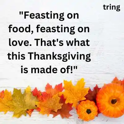 Happy Thanksgiving Wishes for WhatsApp Status