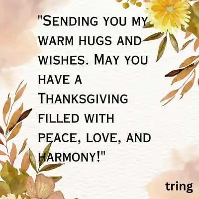 Thanksgiving Wishes for Friends