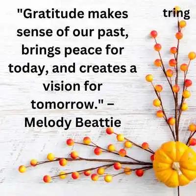 Thanksgiving Quotes