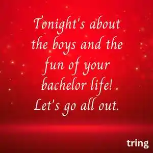 bachelors party wishes (8)