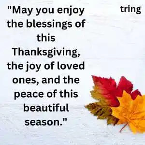 thanksgiving wishes (8).png thanksgiving wishes (8)