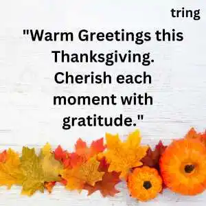 thanksgiving wishes (9).png thanksgiving wishes (9)