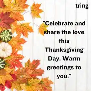 thanksgiving wishes (10).png thanksgiving wishes (10)