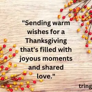 thanksgiving wishes (6).png thanksgiving wishes (6)
