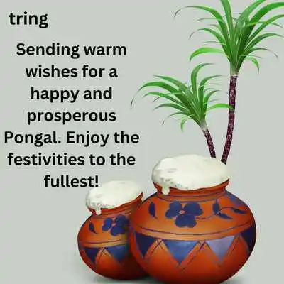 Latest Pongal Wishes 2024.png Latest Pongal Wishes 2024