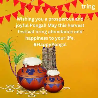WhatsApp and Facebook Status for Pongal