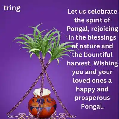 Happy Pongal Quotes 2024.png Happy Pongal Quotes 2024