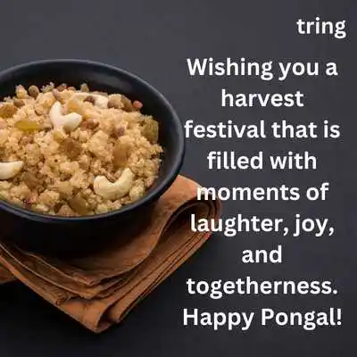 Pongal Wishes in English.png Pongal Wishes in English