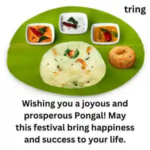 Pongal Wishes (4).png Pongal Wishes (4)