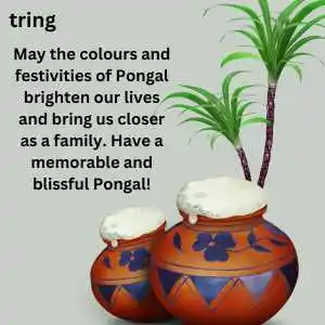 Pongal Wishes (5).png Pongal Wishes (5)
