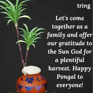 Pongal Wishes (8).png Pongal Wishes (8)