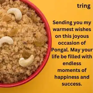 Pongal Wishes (9).png Pongal Wishes (9)