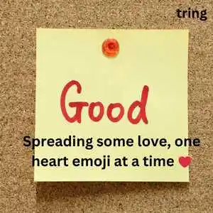 good instagram captions (4).png good instagram captions (4)