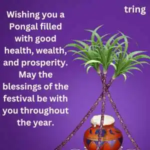Pongal Wishes (10).png Pongal Wishes (10)