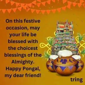 Pongal Wishes (2).png Pongal Wishes (2)
