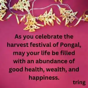 Pongal Wishes (3).png Pongal Wishes (3)