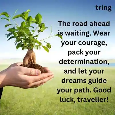 Good Luck on Your New Journey