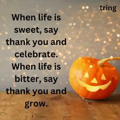 Cute Instagram Captions.png Cute Instagram Captions