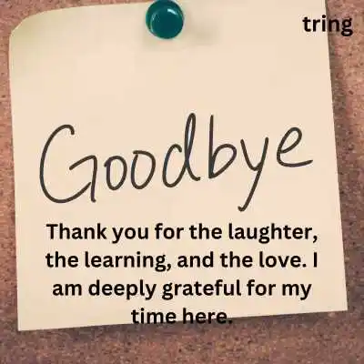 100+ Sentimental Goodbye Messages For Leaving Company