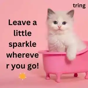 Cute Captions For Instagram (2).png Cute Captions For Instagram (2)