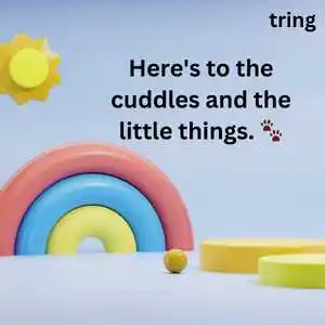 Cute Captions For Instagram (4).png Cute Captions For Instagram (4)