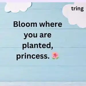 Cute Captions For Instagram (6).png Cute Captions For Instagram (6)