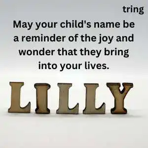 Naming Ceremony Wishes (10).png Naming Ceremony Wishes (10)