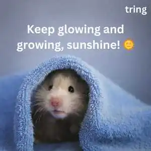 Cute Captions For Instagram (10).png Cute Captions For Instagram (10)