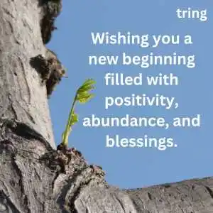 New Beginning Wishes (10)