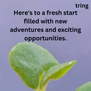 New Beginning Wishes (8)