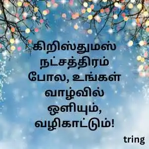 christmas wishes in tamil (6)