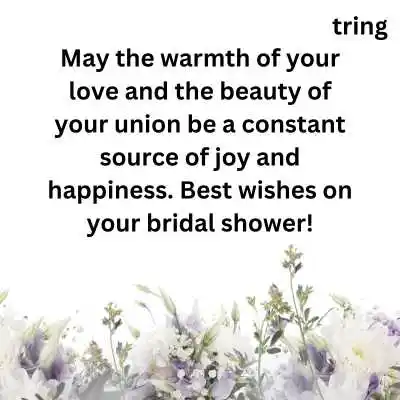 Heartwarming bridal shower wishes.png Heartwarming bridal shower wishes