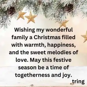 christmas wishes to family (5).png christmas wishes to family (5)